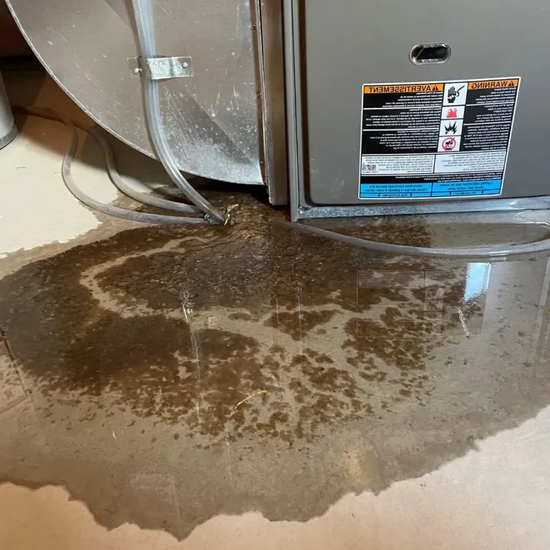 Pipe Burst and Leak Restoration in Salem, SD